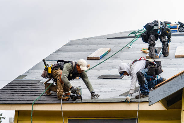 Professional Gutter Installation technician working in Myrtle Point, OR